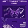 Cara Menggunakan Pola Harmonik Gartley dalam Trading Forex